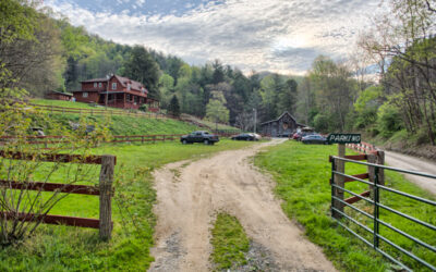 Mountain Harbour Bed and Breakfast – May 2016