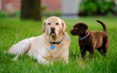 Jaden and Bailey