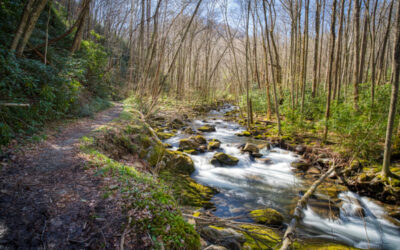 Great Smoky Mountains National Park Backpacking – March 2022