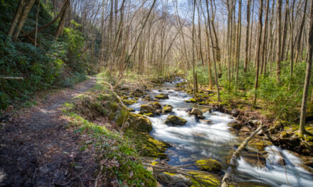 Great Smoky Mountains National Park Backpacking – March 2022