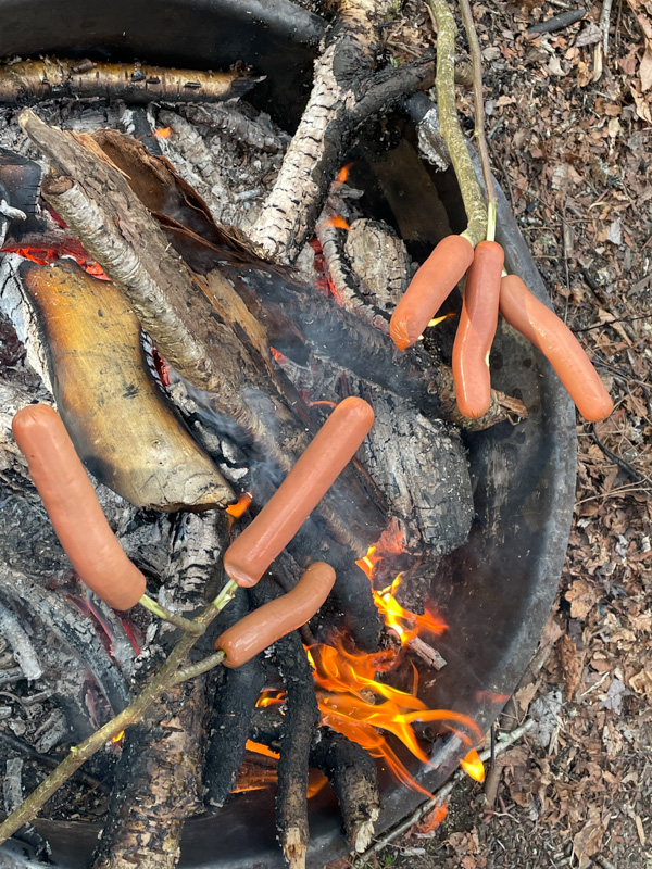 Hot dog 'tree' at campsite 23 - Great Smoky Mountains National Park