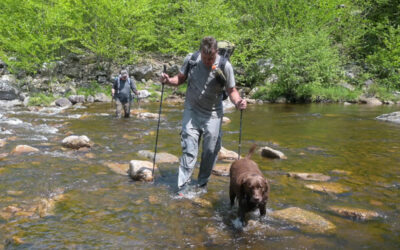 Dolly Sods Backpacking – May 2022