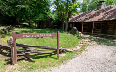 Big South Fork Backpacking – June 2019