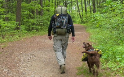 Zpacks Arc Blast Backpack – Gear Review