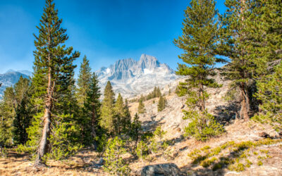 Sierra Nevada Backpacking – September 2015