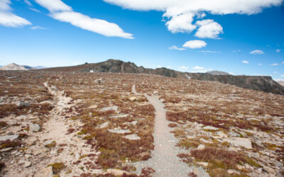 Hypothermic Moonscape on Bighorn Flats – September 2016