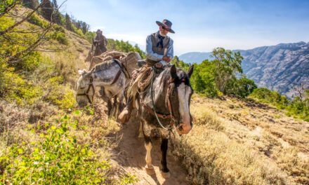 Cowboy on the Pacific Crest Trail – September 2015