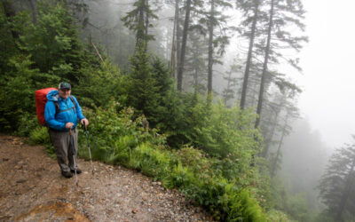 Great Smoky Mountains National Park Backpacking – July 2017