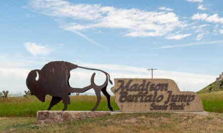 Madison Buffalo Jump State Park, Three Forks, MT – July 2022