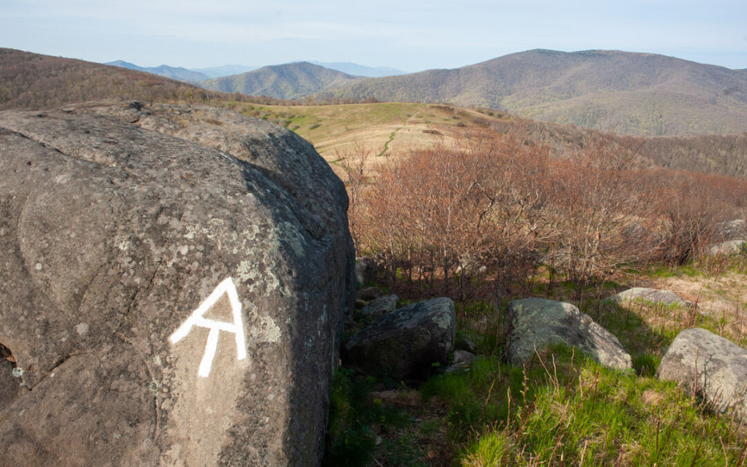 Appalachian Trail Roan Highlands Backpacking – May 2016