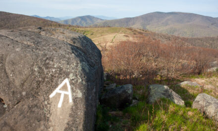 Appalachian Trail Roan Highlands Backpacking – May 2016