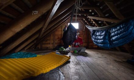 Man vs. Mouse at Thomas Knob Shelter – April 2017